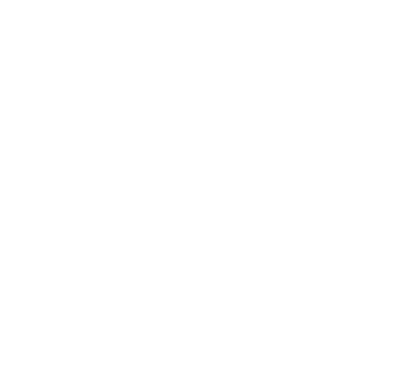 Shiyi Apparel logo